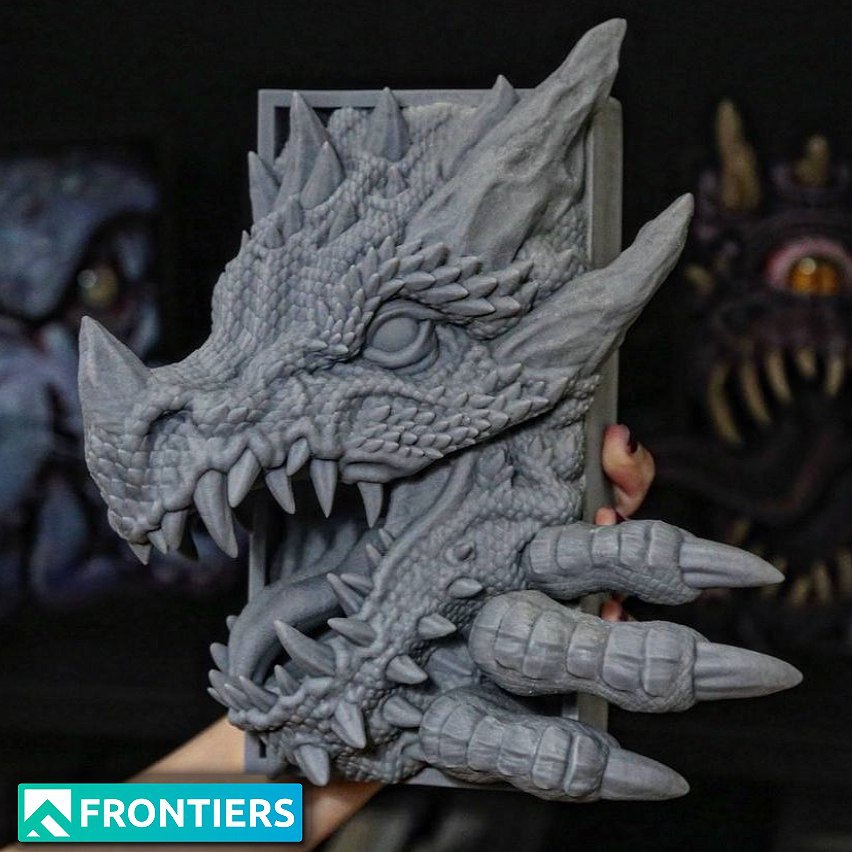Dragon Book Nook